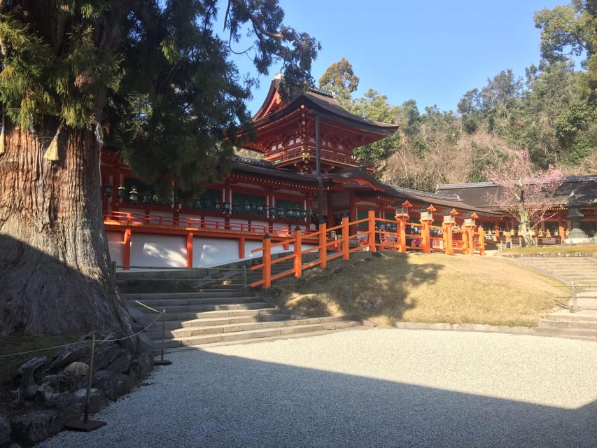 Nara: Half-Day Private Guided Tour - Naramachi: old streets and a lattice-fronted house