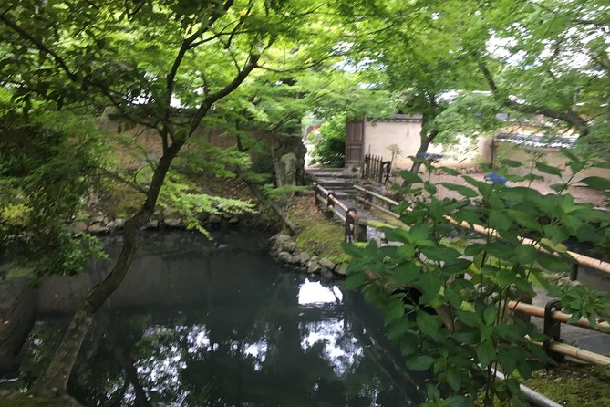 Nara Half Day Trip Walking Tour (Private Option Available) - Should you book this Nara tour?