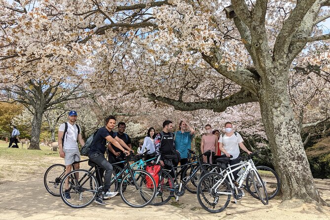 Nara - Heart of Nature Cross Bike Tour - A different side of Nara, reached by bike