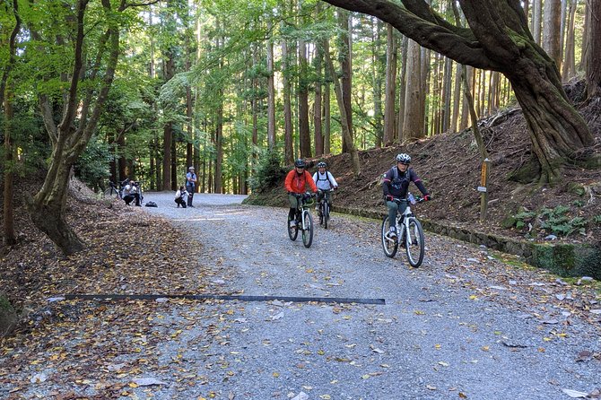 Nara - Heart of Nature Cross Bike Tour - A quiet finish at Sagi Pond