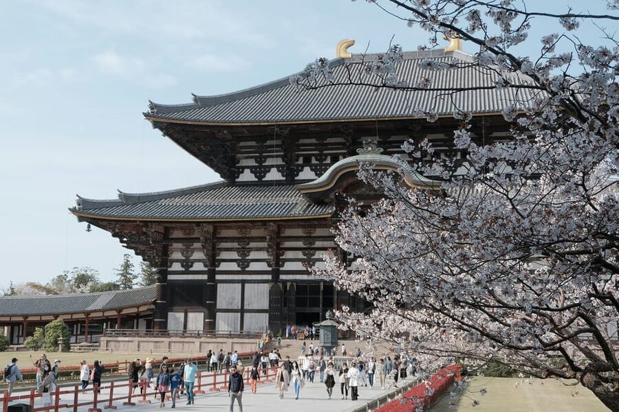 Nara Heritage Walkabout from Nara Park to Todaji-ji temple - At a glance