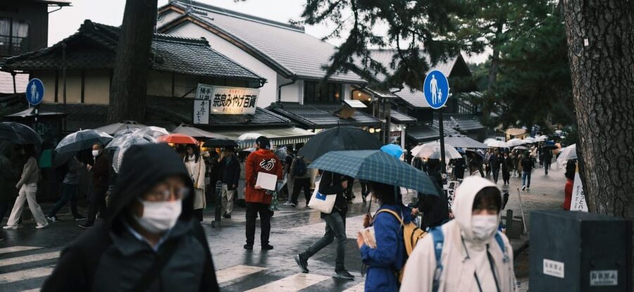 Nara Heritage Walkabout from Nara Park to Todaji-ji temple - Kasuga Taisha: lanterns among the trees