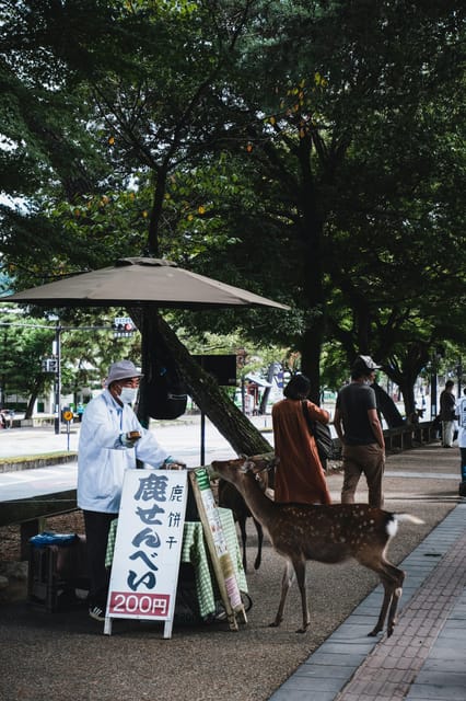Nara Heritage Walkabout from Nara Park to Todaji-ji temple - Is $102 a fair price?