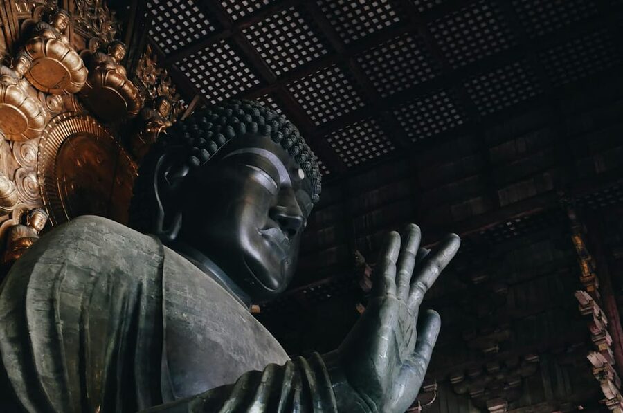 Nara Heritage Walkabout from Nara Park to Todaji-ji temple - Who should book this walk?