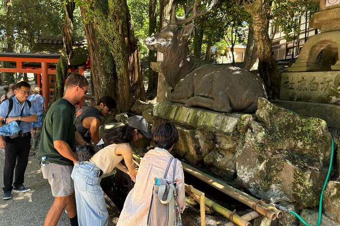Nara Highlight Walking Tour with Furoshiki Experience with Lunch - Lunch and a furoshiki cloth to take home