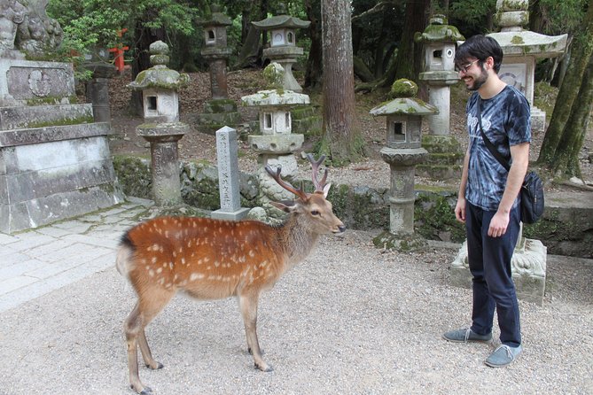 Nara - Highlights Bike Tour - Under the guardians at Todai-ji’s Great South Gate