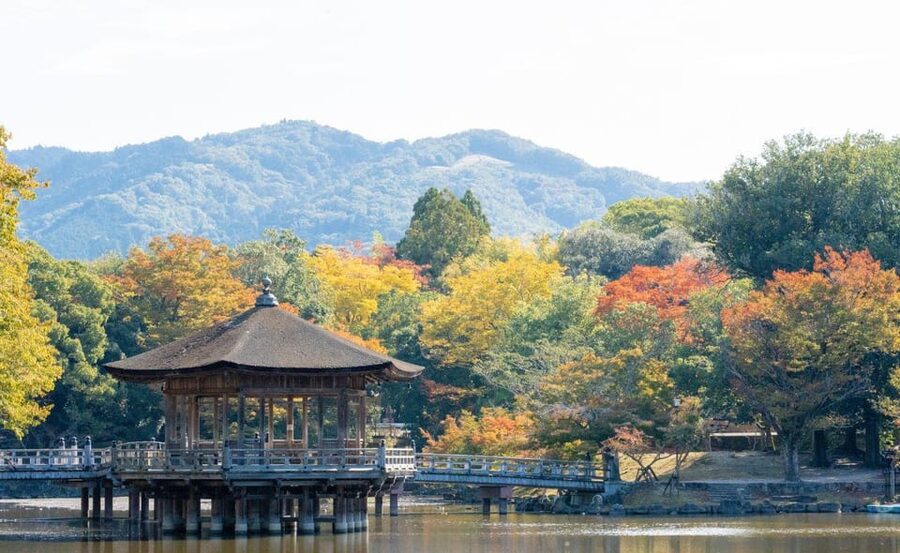 Nara: Private City Tour With A Local Guide - A Private Day in Nara, Shaped Around You