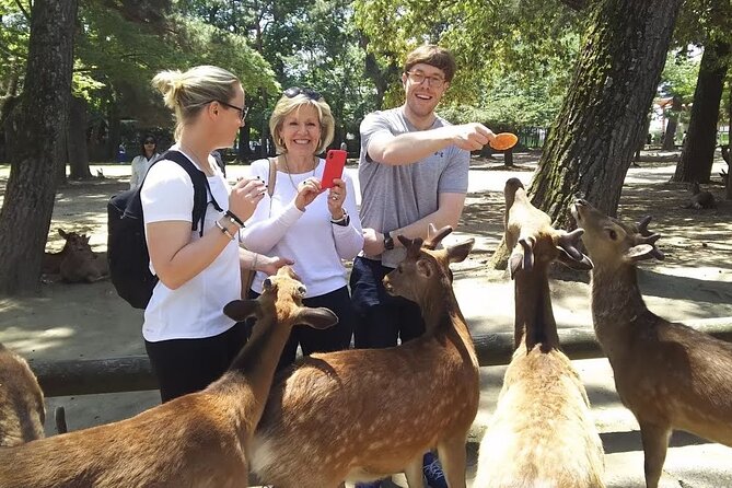 Nara Private Tour: Flexible Pickup from Kyoto, Osaka, or Nara - Choosing a Nara day that fits your interests