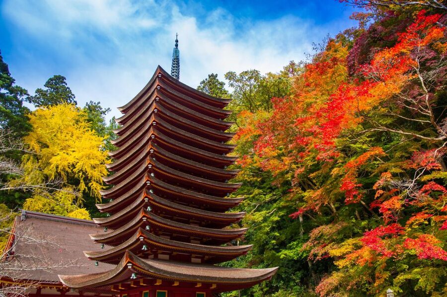 Nara: Private Tour with Private Guide - Nara’s landmarks, with room to make the day yours