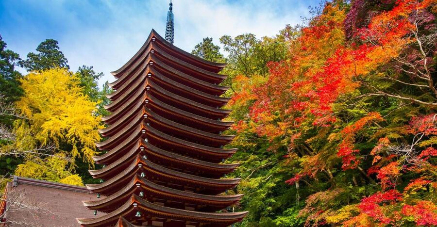 Nara: Private Tour with Private Guide - Nara Park and its famous deer