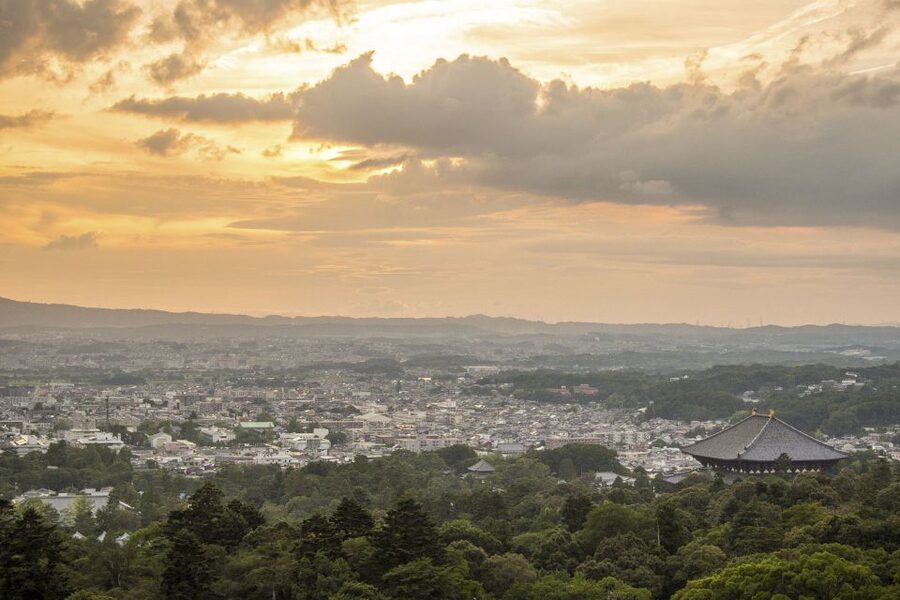 Nara: Private Walking Tour with a Local - What the walk might include