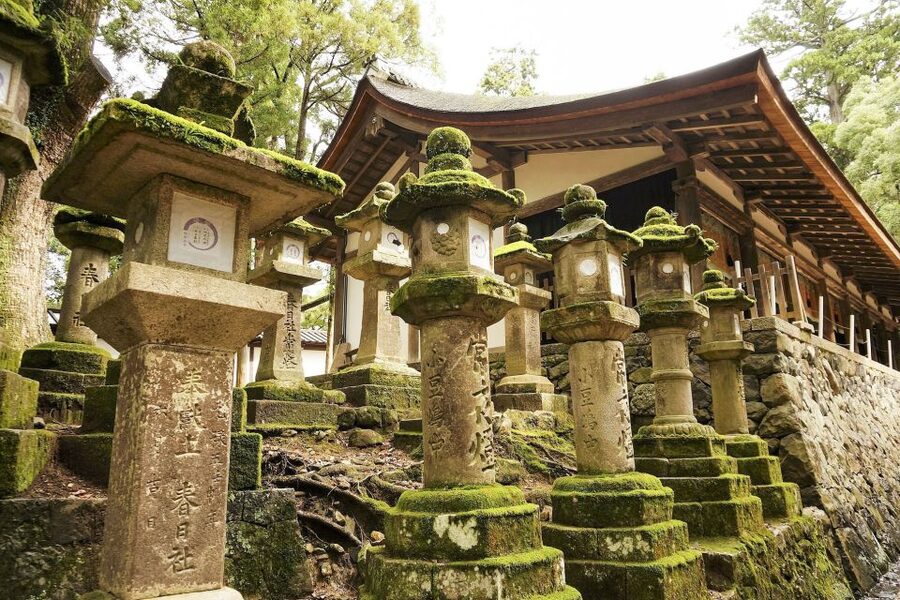 Nara: Private Walking Tour with a Local - Is $82 per person good value?