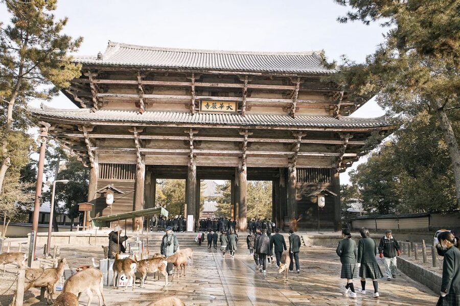 Nara: Private Walking Tour with a Local - A few practical details before you book