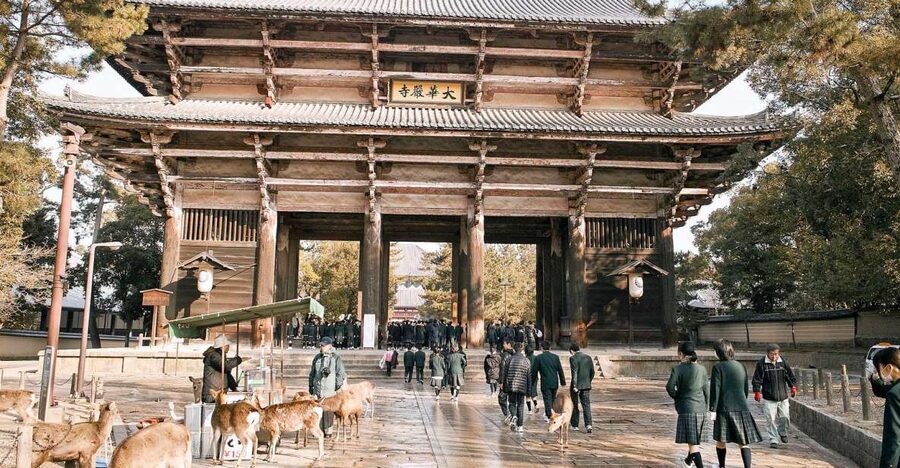 Nara: Private Walking Tour with a Local - A private walk, not a scripted sightseeing circuit