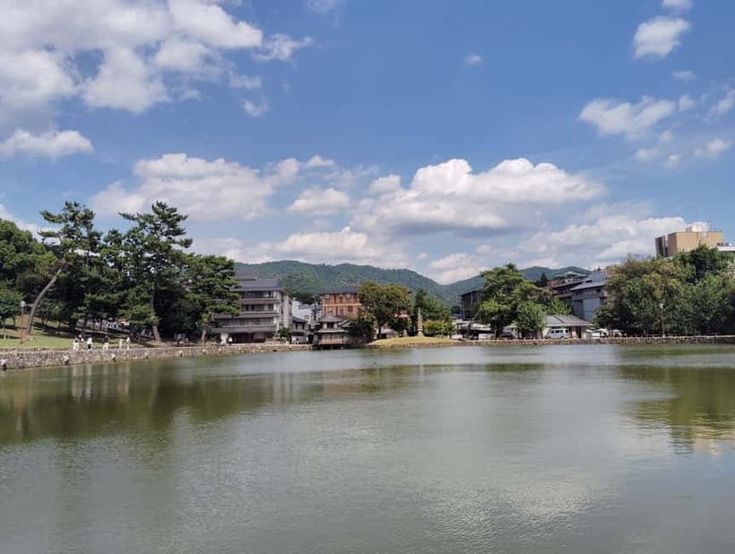 Nara: Sake Tasting Tour at the Birthplace of Japanese Sake - Guides make the history feel personal