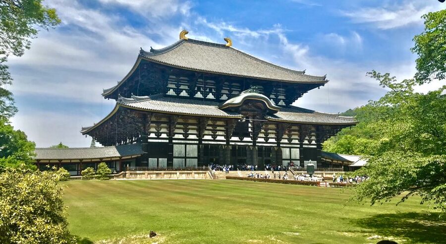 Nara: Todai-ji y parque de Nara (Spanish Guide) - What $85 gets you
