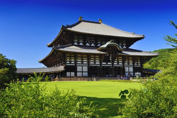 Nara, Todaiji Temple & Kuroshio Market Day BUS Tour from Osaka - Two hours at Kuroshio Market