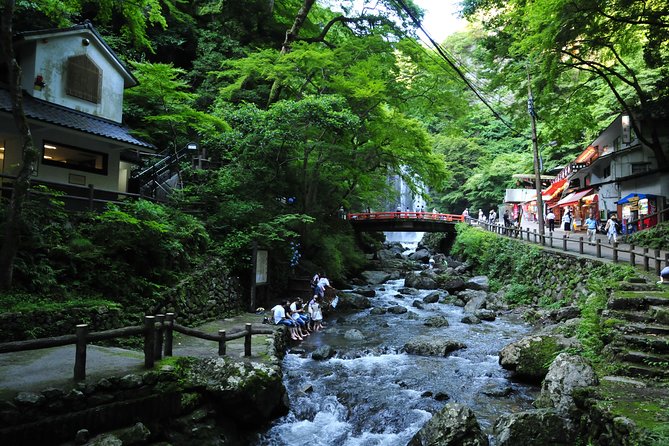 Nature Walk at Minoo Park, the Best Nature and Waterfall in Osaka - Is $91.96 good value?