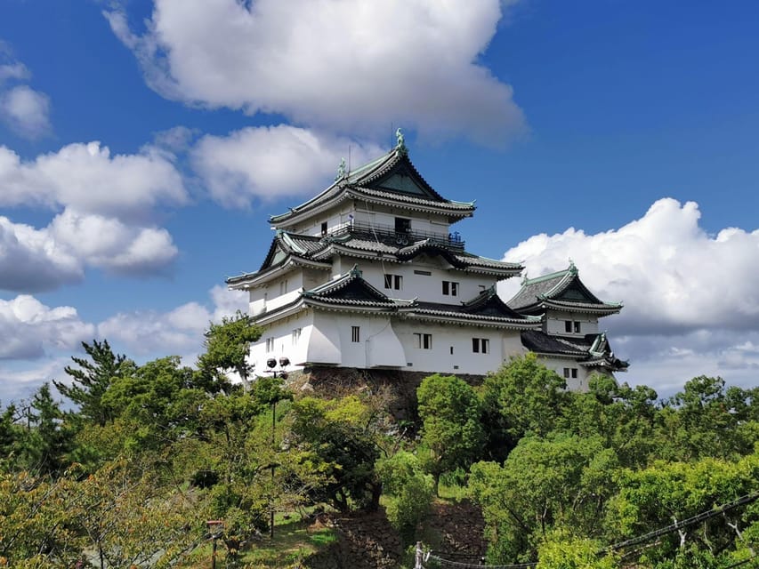 One Day Private Customized Self-Guided Tour in Wakayama - A private car saves effort, not sightseeing time