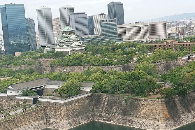 Osaka Castle & Dotonbori Lively One-Day Walking Tour - The day at a glance