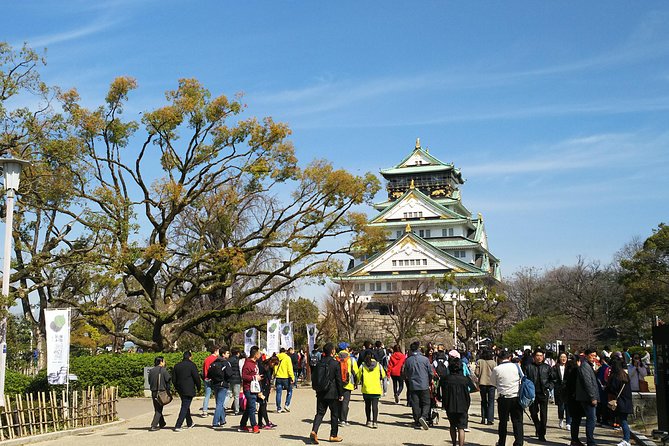 Osaka Castle & Dotonbori Lively One-Day Walking Tour - Kuromon Market and the food-minded side of Osaka