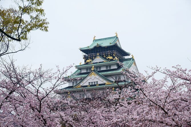 Osaka Castle & Samurai History Walking Tour - Key points before you book