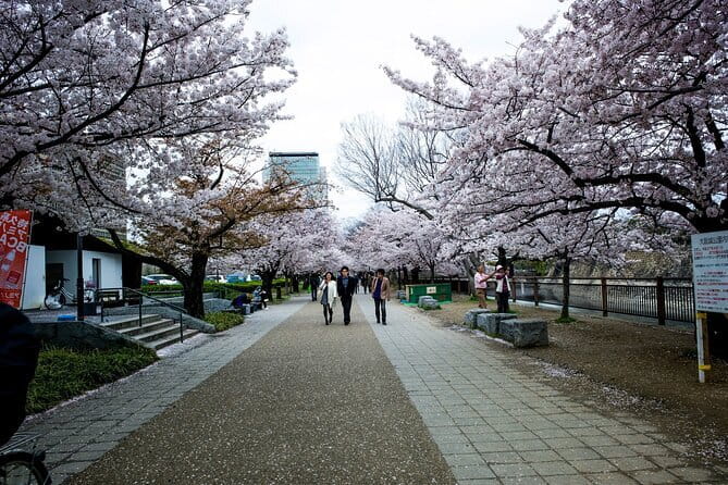 Osaka Castle & Samurai History Walking Tour - Osaka Castle, read as more than a picture