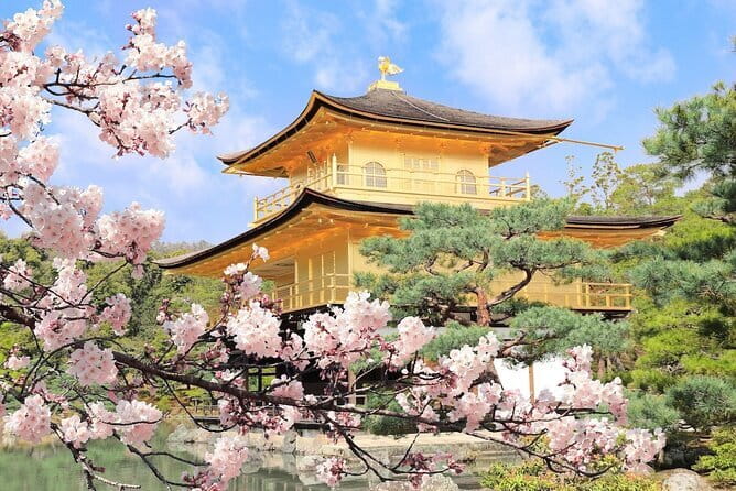 Osaka Castle & Samurai History Walking Tour - The guide is a big part of the value