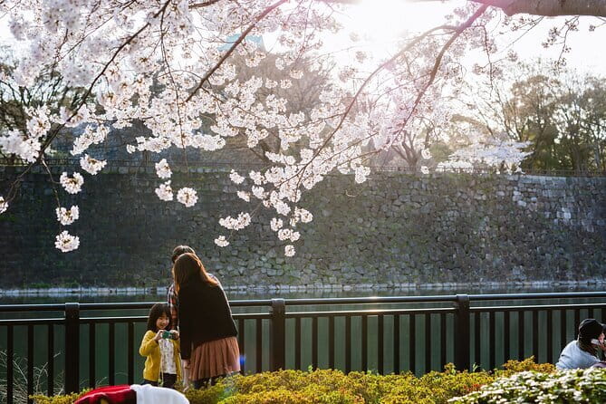 Osaka Castle & Samurai History Walking Tour - Nishinomaru Garden, a slower change of pace
