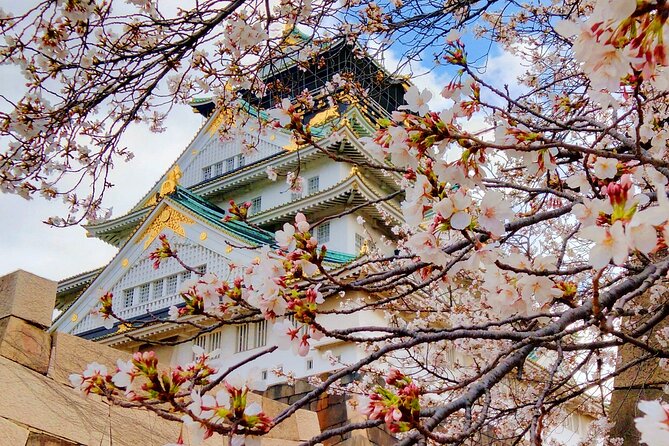 Osaka Castle & Temple Walking Tour with Multilingual Audio Guide - Temples first, then Osaka Castle