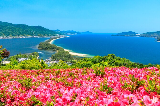 Osaka Day Tour: Amanohashidate & Ine Bay - A coastal day beyond Osaka