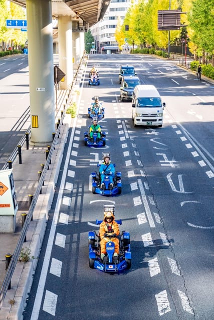 Osaka: Go Kart Tour on Osaka Streets with Guide - Who will enjoy this ride most