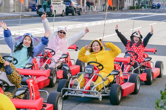 Osaka Go Karting Tour with Funny Costume - At a glance