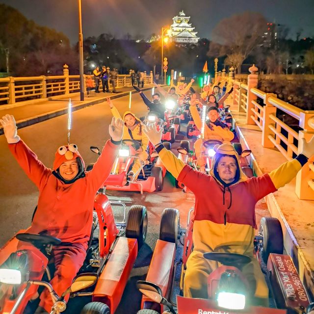 Osaka: Guided Go Karting Tour in a Funny Costume - What $45 buys you