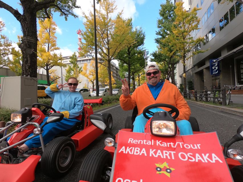 Osaka: Guided Go Karting Tour in a Funny Costume - Should you book it?