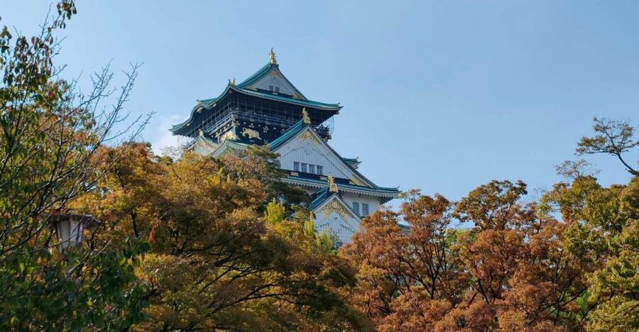 Osaka: Half-day Ultimate Highlights Guided Walking Tour - From Osaka Castle grounds to the city’s merchant story