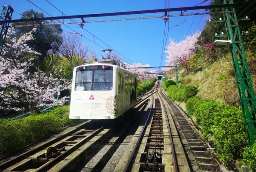 Osaka/Kyoto: Amanohashidate & Miyama Tour with Boat & Lunch - Practical details before you go