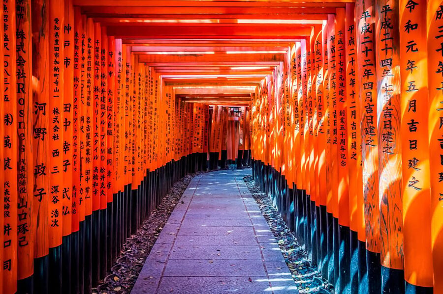 Osaka/Kyoto: Arashiyama, Nara Park, Fushimi Shrine Tour - Three famous stops, one busy day