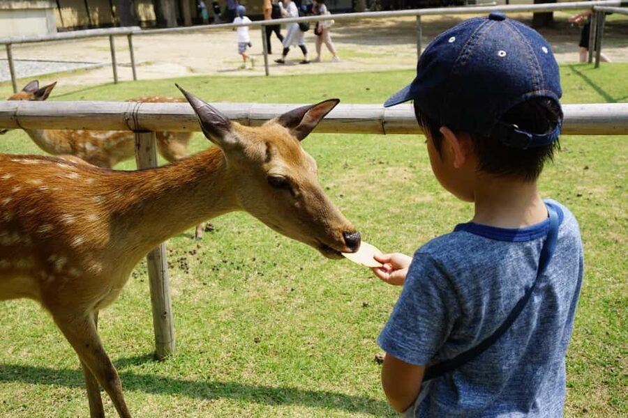 Osaka/Kyoto: Arashiyama, Nara Park, Fushimi Shrine Tour - What the $51 price covers
