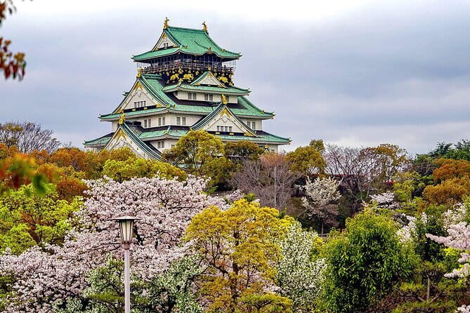 Osaka & Kyoto & Nara Top Hightlights English Speaking Tour - What the guide adds, and what to expect