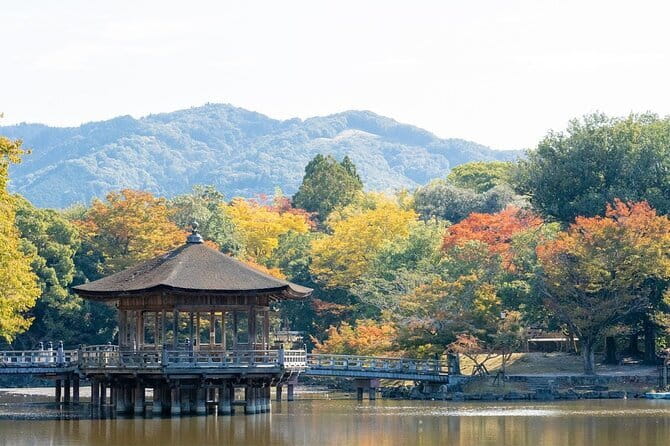 Osaka & Kyoto & Nara Top Hightlights English Speaking Tour - Is $54 good value?