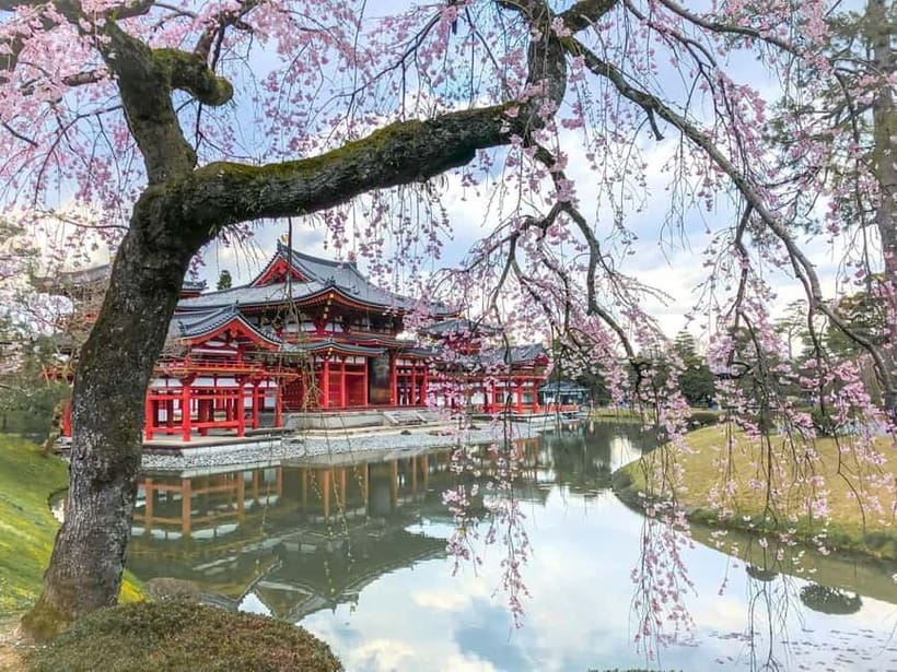 Osaka: Kyoto & Nara & Uji Historical and Scenic One-Day Tour - Key points to know before you go