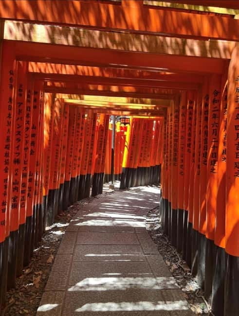 Osaka: Kyoto & Nara & Uji Historical and Scenic One-Day Tour - Who should book this day trip?