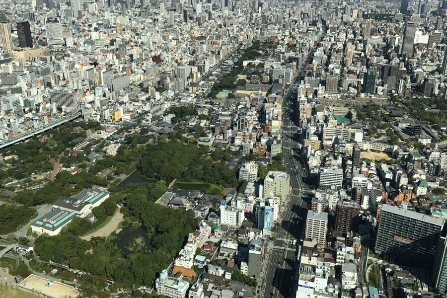 Osaka: Main Sights and Hidden Spots Guided Walking Tour - Kuromon Market and Doguyasuji: food trade up close