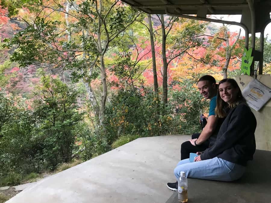 Osaka: Mino Forest Walk and Giant Waterfall with Local Lunch - What $79 includes, and where the value lies