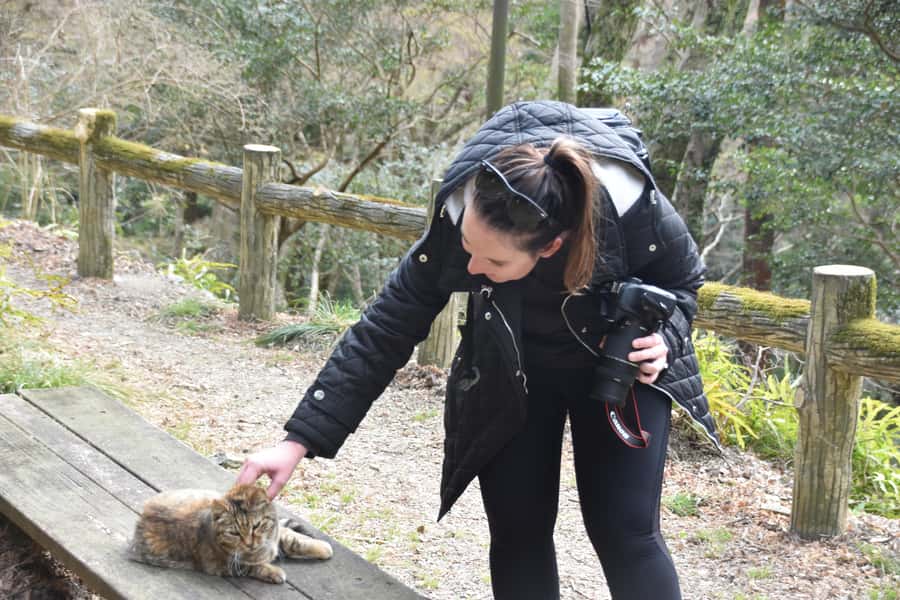 Osaka: Mino Forest Walk and Giant Waterfall with Local Lunch - Who will enjoy this walk most