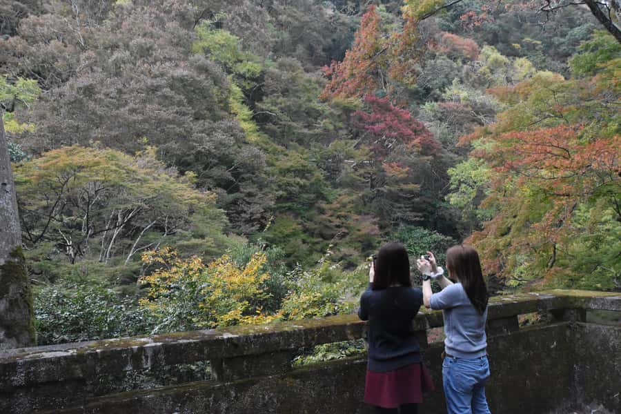 Osaka: Mino Forest Walk and Giant Waterfall with Local Lunch - FAQ