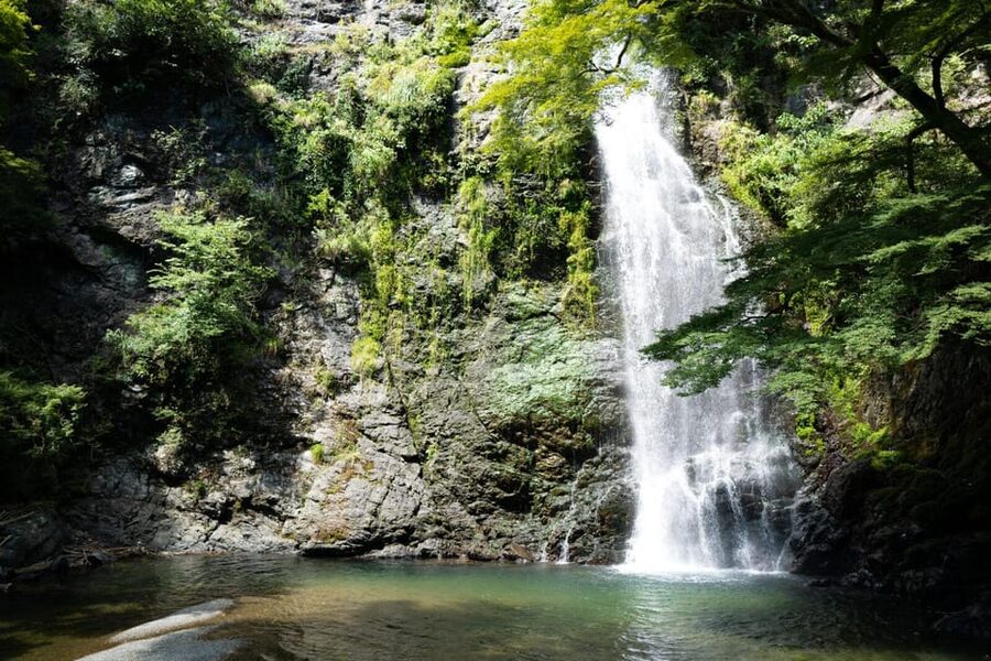 Osaka: Minoh, Katsuoji Temple, & Minoh Falls Full-day Tour - FAQ