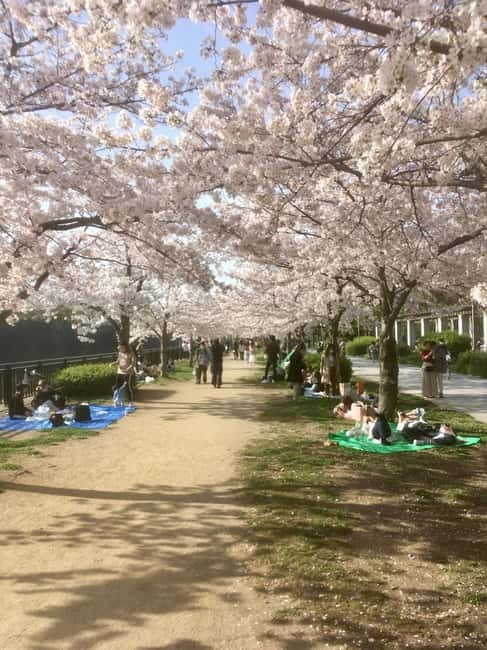 Osaka: Private and Fully Customized Tour with Hotel Meet Up - Begin at your hotel, then make the route yours