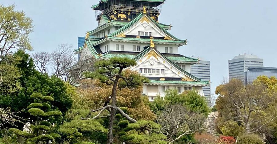 Osaka: Private and Fully Customized Tour with Hotel Meet Up - Personalization is the main reason to book